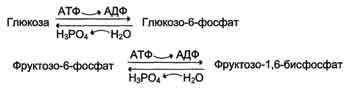 http://www.biochemistry.ru/biohimija_severina/img/b5873p399-i1.jpg