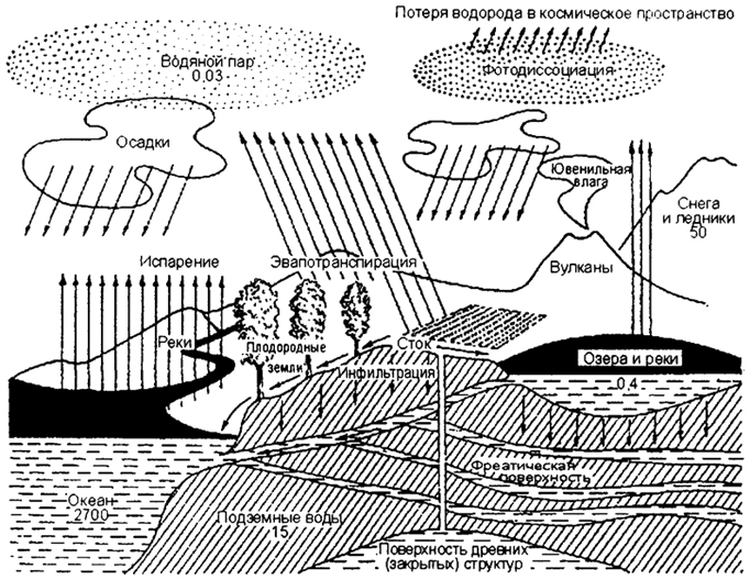 рис. 12.9. общая схема круговорота воды (по ф. рамаду, 1981)
