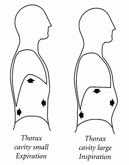 http://www.medpoisk.ru/cf/pct/01-09.gif