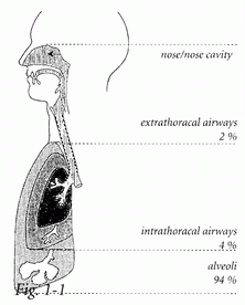 http://www.medpoisk.ru/cf/pct/01-01.gif