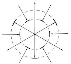 блокада входа (внутренний круг) и блокада выхода (наружный круг) в парасистолическом центре