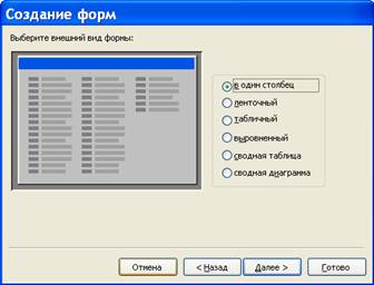 выбор внешнего вида формы access