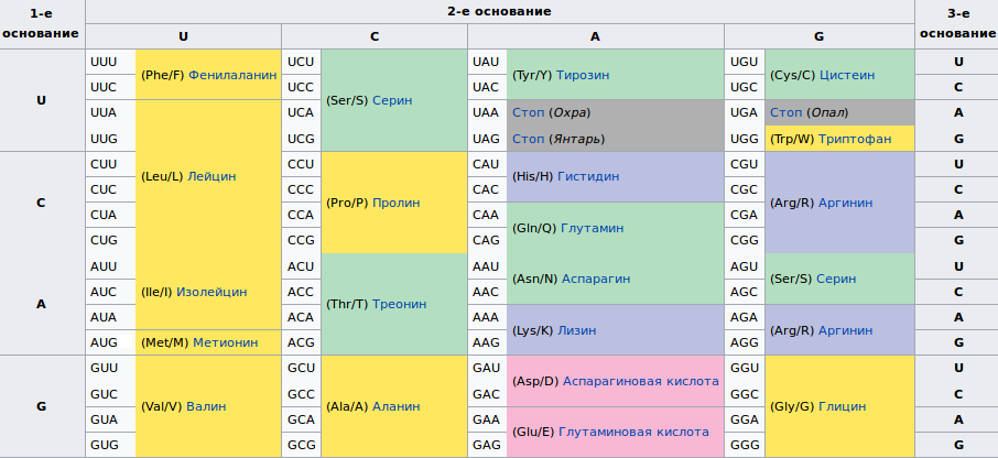 таблица соответствия кодонов рнк и аминокислот