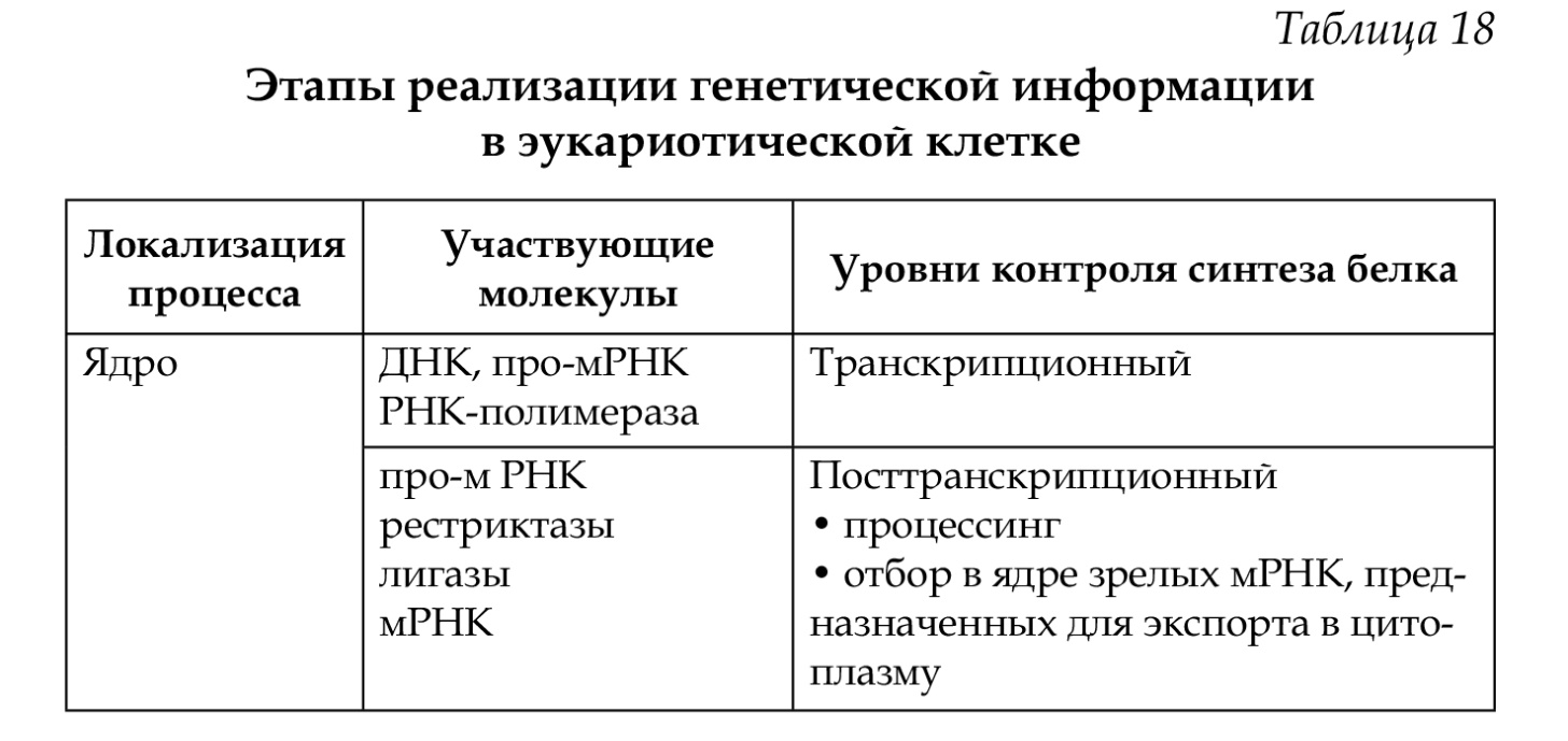 http://www.biospsma.spb.ru/szgmu_site/genetics/kostukevich_biology_kletky_final.page218.jpg