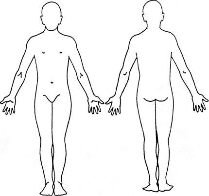 схема тела 1