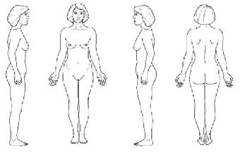 схема тела - оценка боли жен