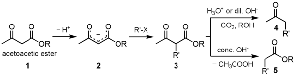 acetoacetic ester synthesis.png