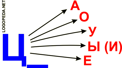 произносить (читать) слоги ц__а, ц__о, ц__у, ц__ы, ц__и, ц__е