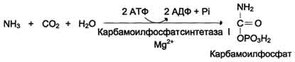 http://www.biochemistry.ru/biohimija_severina/img/b5873p482-i1.jpg