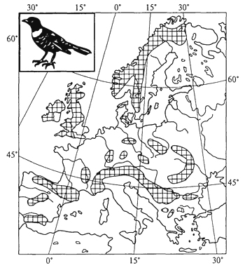 рис. 43. арктоальпийский ареал белозобого дрозда (г. делаттин, 1967)