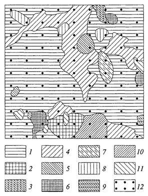 рис. 15. мозаичность в елово-дубовом лесу; микрогруппировки (н.в.дылис, 1969): 1 - елово-волосистоосоковая; 2- елово-кисличная; 3 -крупнопапоротниковая в 