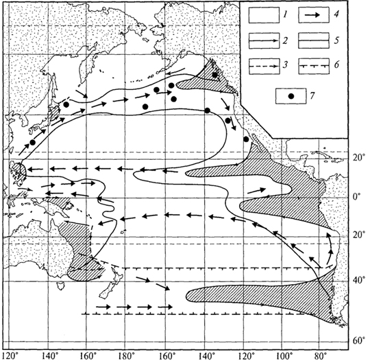 рис. 85. нейтральные области и биологические границы в тихом океане (б.с.виноградов и др., 1989): 1 - нейтральные области; 2 -их границы и направления течений на них; 3 -то же, недостаточно установленные; 4 - примерное направление течений между нейтральными областями; границы: 5 -дальненеритовых видов; 6 -южной пе­реходной зоны; 7- северной переходной зоны