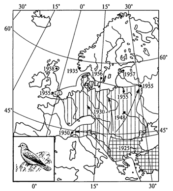 рис. 39. расселение кольчатой горлицы в европе (у.зедлаг, 1972)