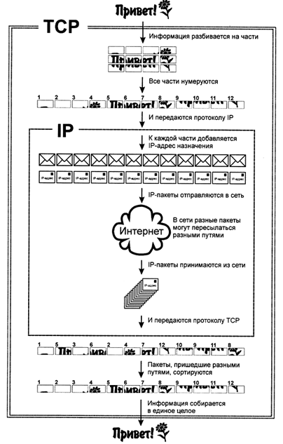 http://bourabai.kz/dbt/img/tcp.gif