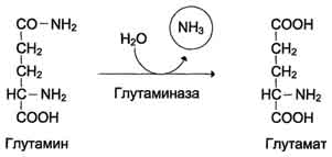 http://www.biochemistry.ru/biohimija_severina/img/b5873p479-i2.jpg