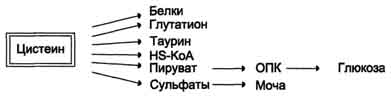 http://www.biochemistry.ru/biohimija_severina/img/b5873p505-i2.jpg