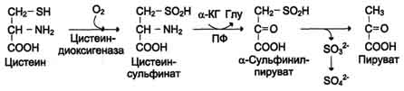 http://www.biochemistry.ru/biohimija_severina/img/b5873p505-i1.jpg