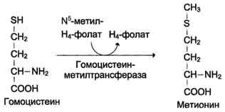 http://www.biochemistry.ru/biohimija_severina/img/b5873p502-i3.jpg