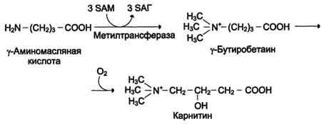 http://www.biochemistry.ru/biohimija_severina/img/b5873p501-i1.jpg