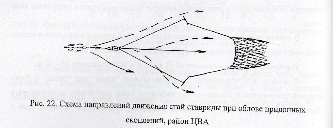 c:\users\вова\pictures\img1511.jpg