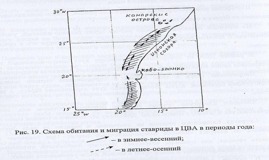 c:\users\вова\pictures\img1491.jpg