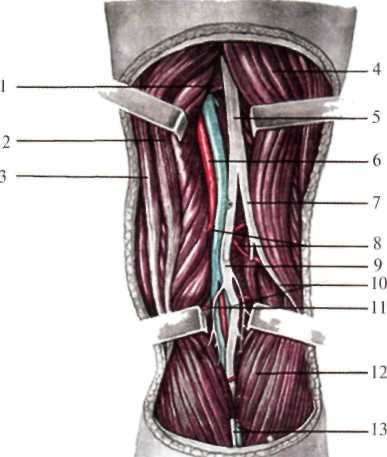 http://student.bsmu.by/bootest/media/topanat/img_155.jpg