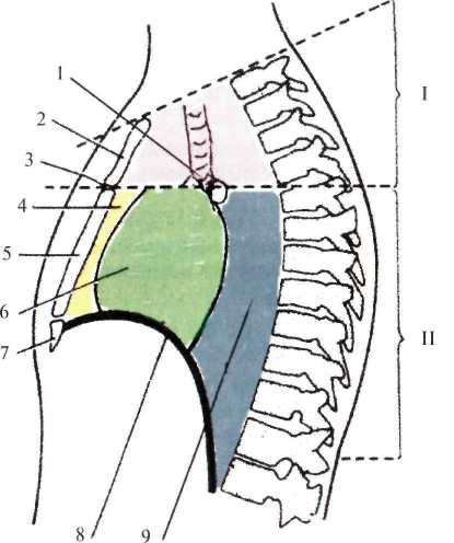 http://student.bsmu.by/bootest/media/topanat/img_108.jpg