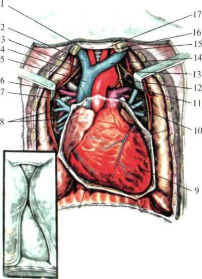 http://student.bsmu.by/bootest/media/topanat/img_109.jpg