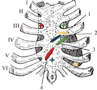 http://student.bsmu.by/bootest/media/topanat/img_112.jpg