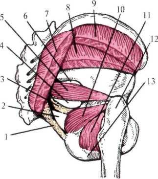 http://student.bsmu.by/bootest/media/topanat/img_140.jpg