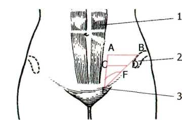 http://student.bsmu.by/bootest/media/topanat/img_11.jpg