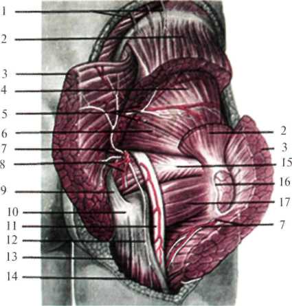 http://student.bsmu.by/bootest/media/topanat/img_139.jpg