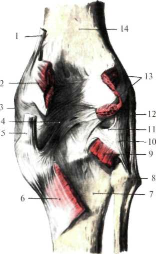 http://student.bsmu.by/bootest/media/topanat/img_149.jpg