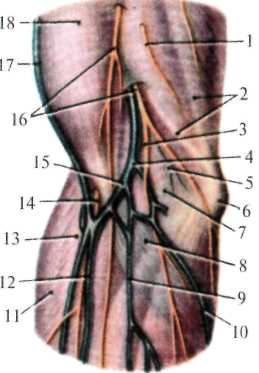 http://student.bsmu.by/bootest/media/topanat/img_125.jpg