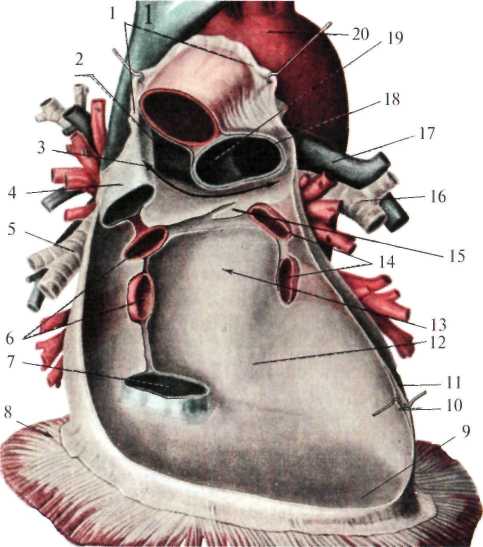 http://student.bsmu.by/bootest/media/topanat/img_111.jpg