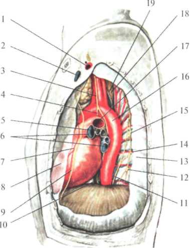 http://student.bsmu.by/bootest/media/topanat/img_114.jpg