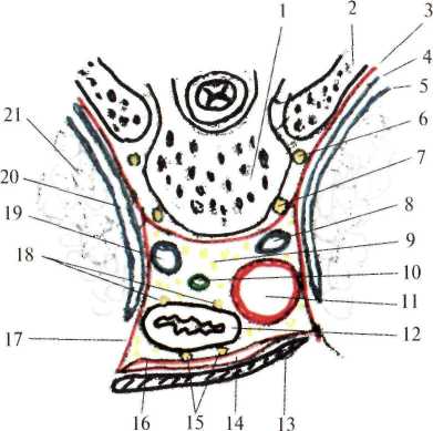 http://student.bsmu.by/bootest/media/topanat/img_113.jpg