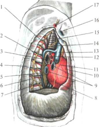 http://student.bsmu.by/bootest/media/topanat/img_117.jpg