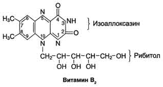 http://www.biochemistry.ru/biohimija_severina/img/b5873p126-i1.jpg
