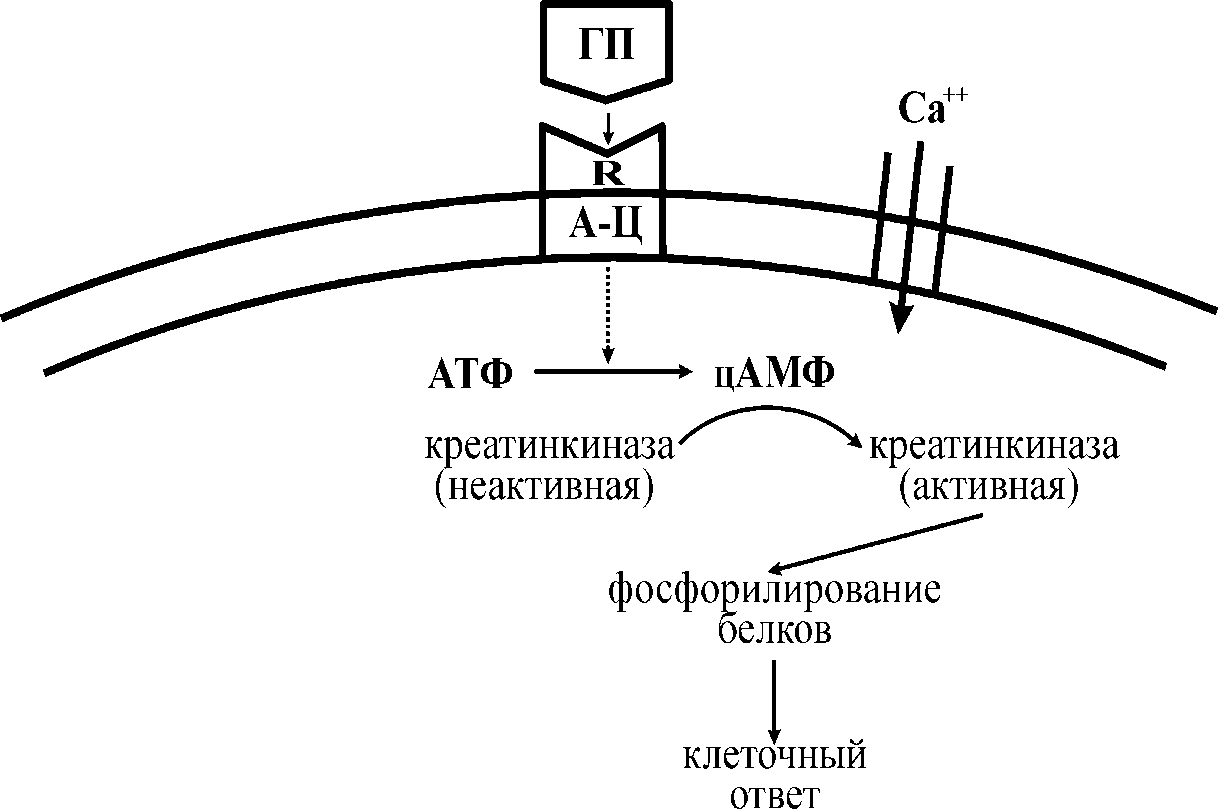 схема 1