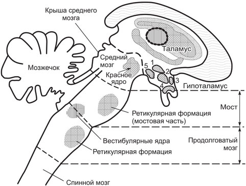 http://www.grandars.ru/images/1/review/id/5580/ee5036c284.jpg