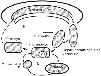 http://www.grandars.ru/images/1/review/id/5505/66aa6612db.jpg