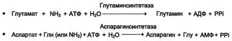 http://www.biochemistry.ru/biohimija_severina/img/b5873p493-i4.jpg