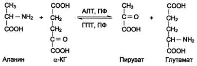 http://www.biochemistry.ru/biohimija_severina/img/b5873p472-i1.jpg