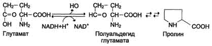 http://www.biochemistry.ru/biohimija_severina/img/b5873p494-i1.jpg