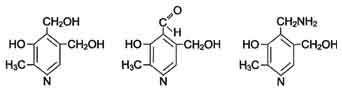 http://www.biochemistry.ru/biohimija_severina/img/b5873p127-i3.jpg