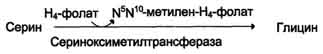 http://www.biochemistry.ru/biohimija_severina/img/b5873p493-i1.jpg