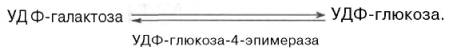 глюкозо-1-фосфат переходит в глюкозо-6-фосфат и далее подвергается уже известным превращениям, либо под влиянием фосфатазы образует свободную глюкозу, а удф-га-лактоза подвергается весьма своеобразной эпимеризации: