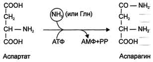 http://www.biochemistry.ru/biohimija_severina/img/b5873p480-i1.jpg