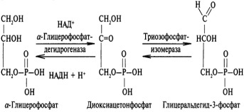 b2319p116-3